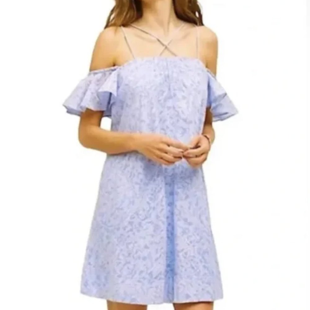 Anthropologie Dayflower Dress By HD In Paris Blue Floral Dress Womens Small